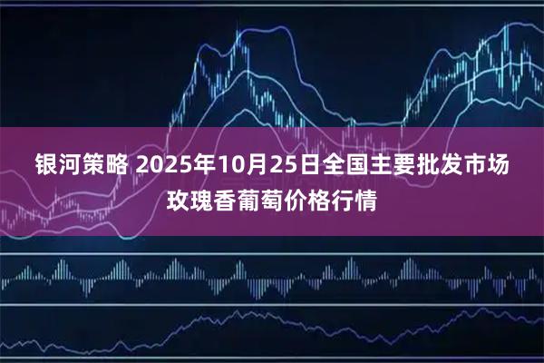 银河策略 2025年10月25日全国主要批发市场玫瑰香葡萄价格行情