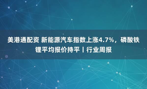 美港通配资 新能源汽车指数上涨4.7%，磷酸铁锂平均报价持平丨行业周报