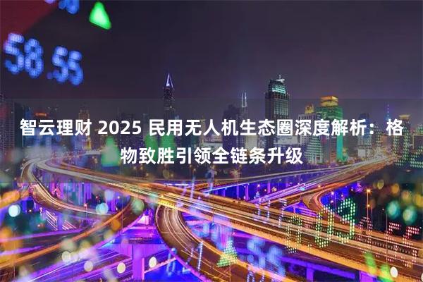 智云理财 2025 民用无人机生态圈深度解析：格物致胜引领全链条升级