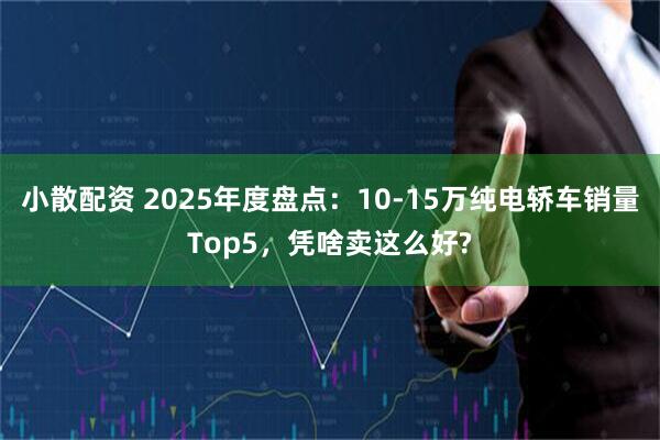 小散配资 2025年度盘点：10-15万纯电轿车销量Top5，凭啥卖这么好?